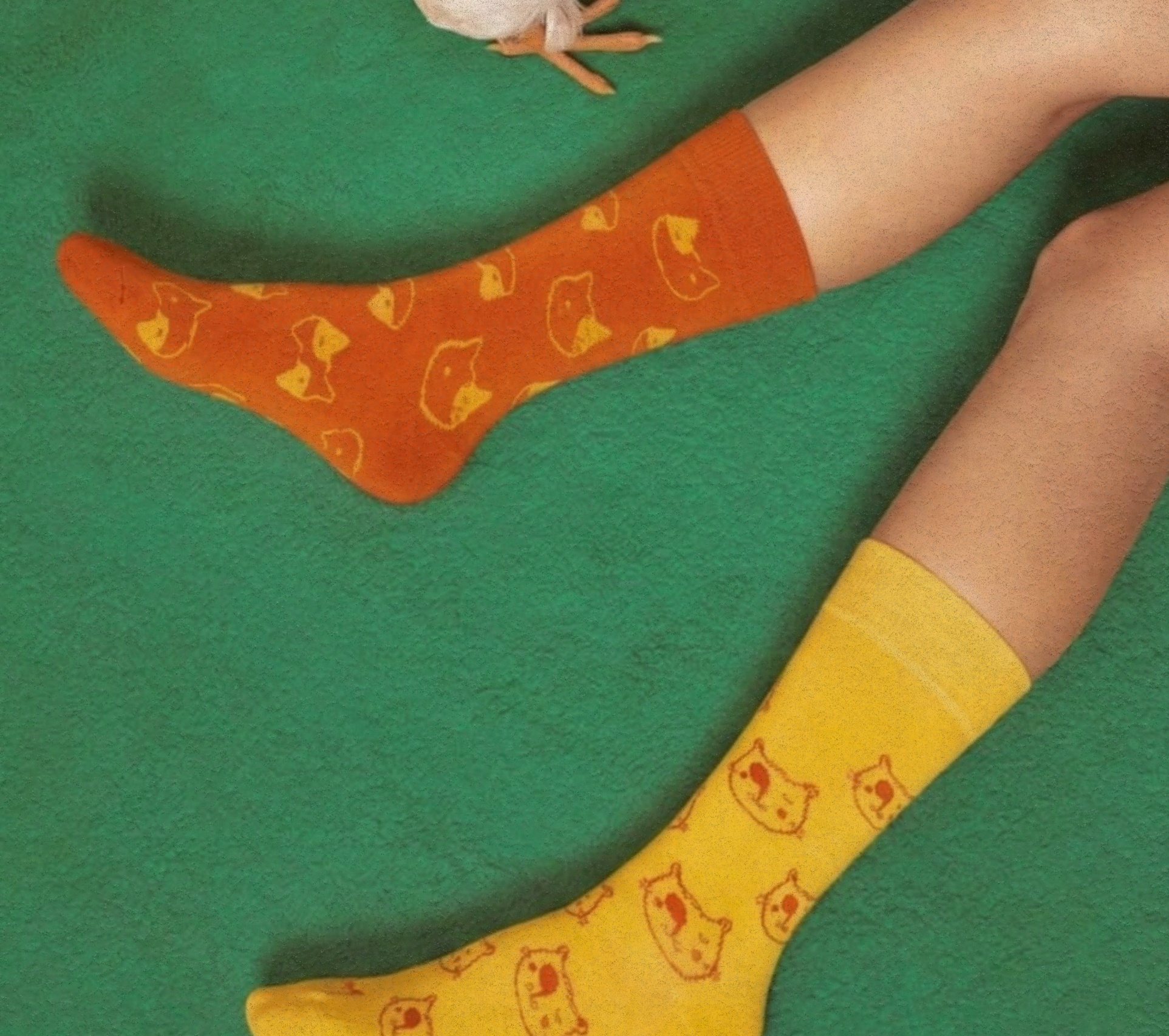 pet therapy