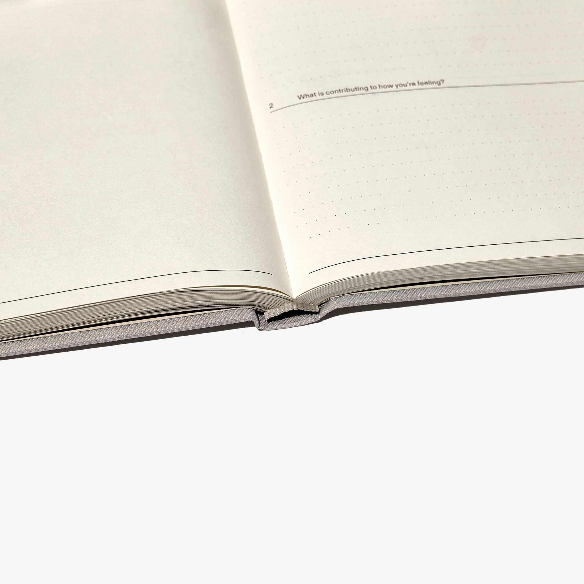 The Therapy Journal