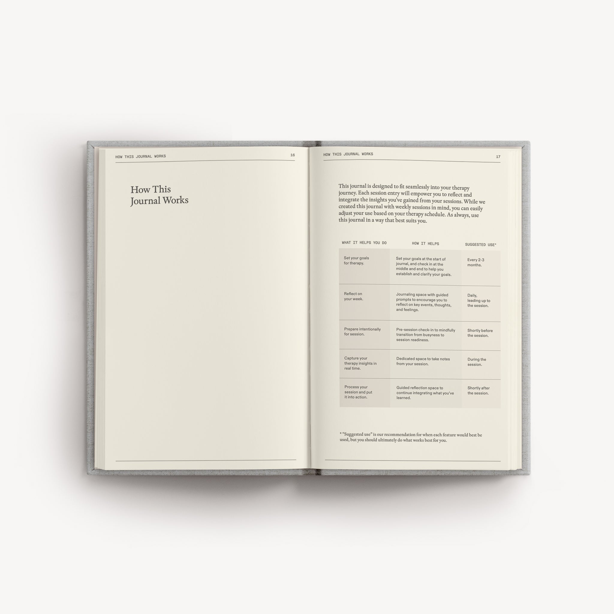 The Therapy Journal