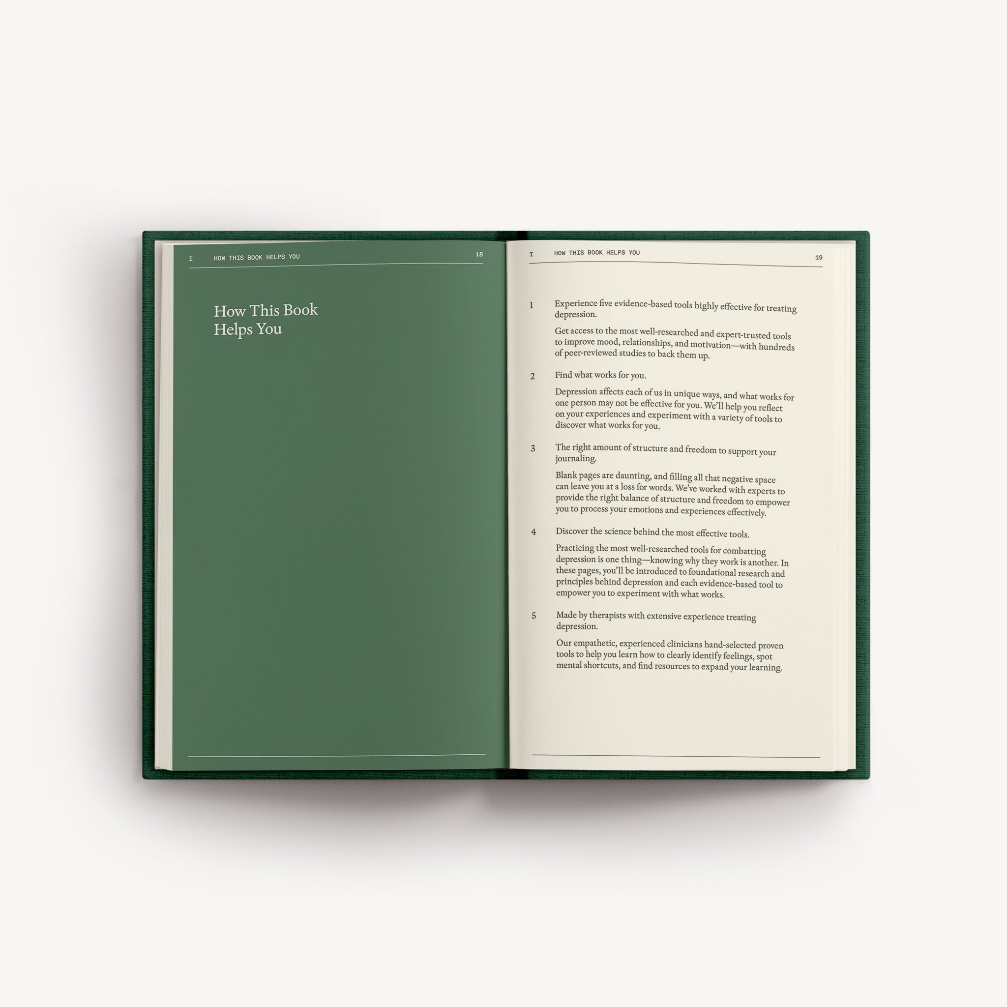 The Field Guide for Depression