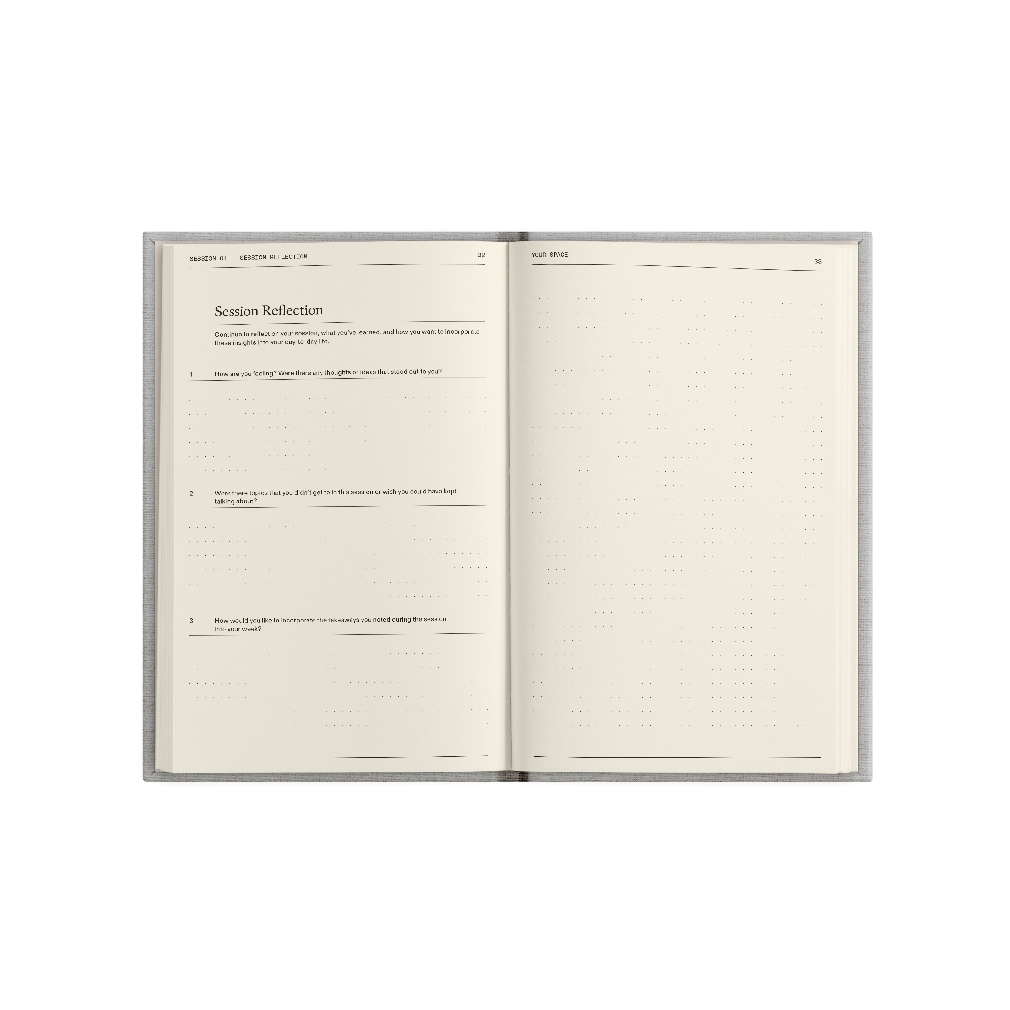 The Therapy Journal