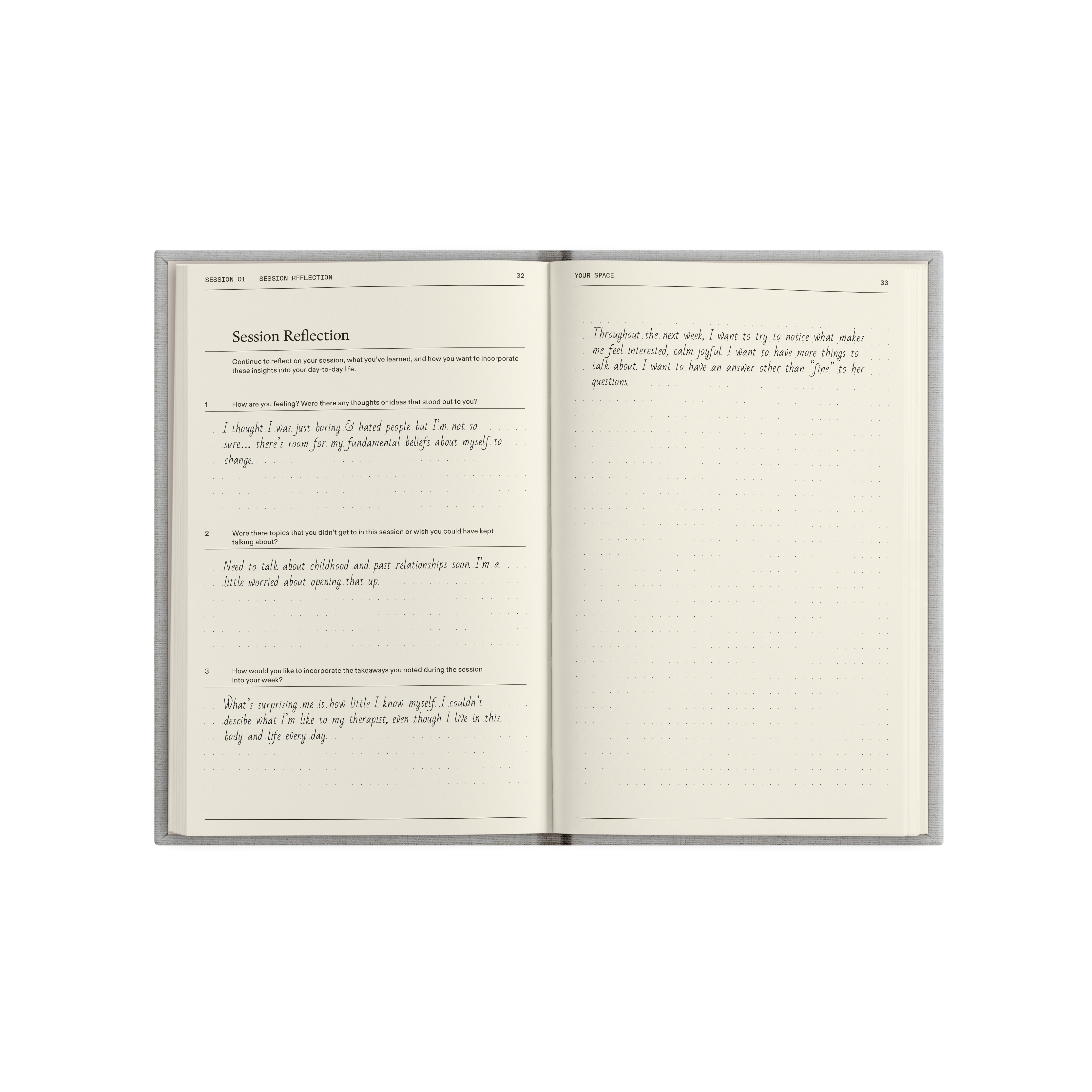 The Therapy Journal