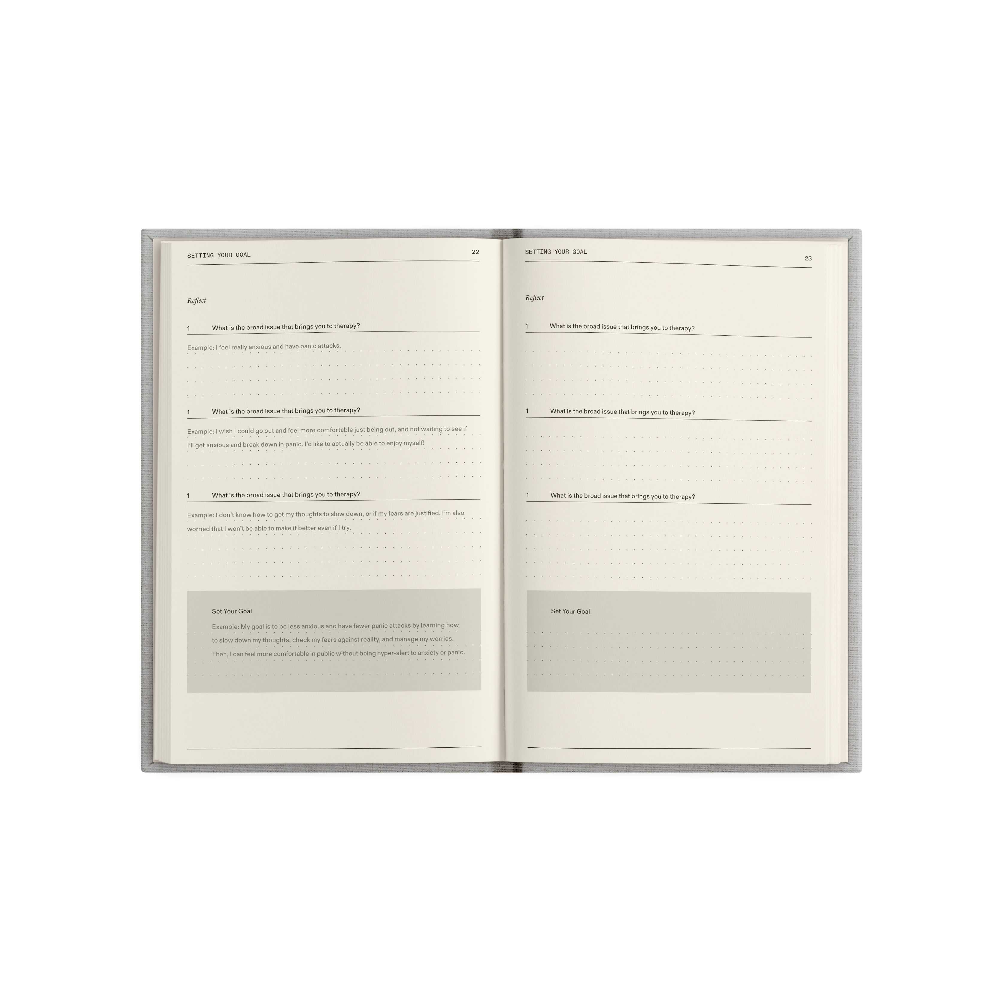 The Therapy Journal