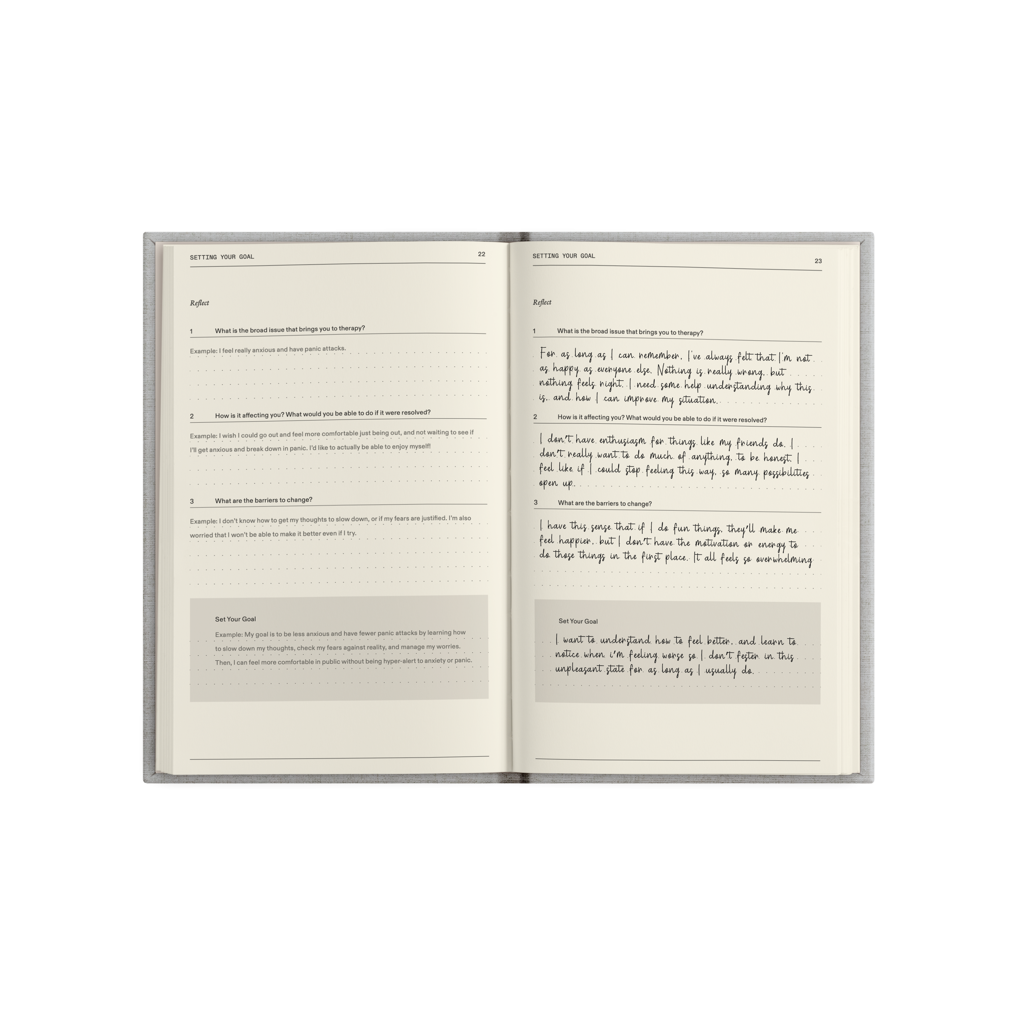 The Therapy Journal